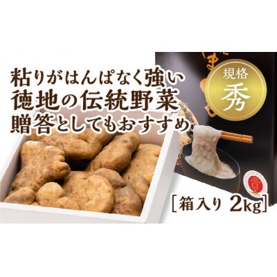 徳地やまのいも箱入り2㎏(秀) D536