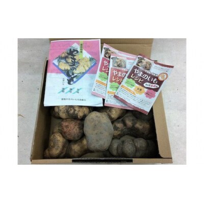 徳地やまのいも箱入り2㎏(秀) D536