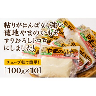 徳地やまのいものすりおろしトロロ　100g×10個 C136