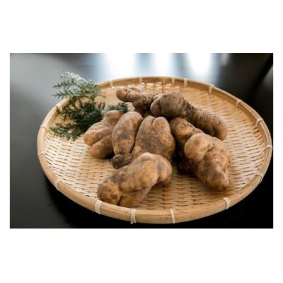 徳地やまのいものすりおろしトロロ　100g×10個 C136