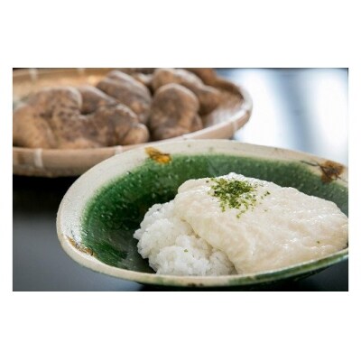 徳地やまのいものすりおろしトロロ　100g×10個 C136