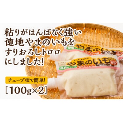 徳地やまのいものすりおろしトロロ　100g×2個 E060