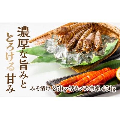 特撰車えびセット C036