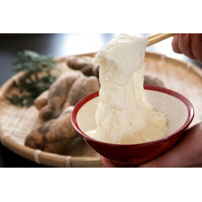 徳地やまのいも800g袋(ご家庭用)×2袋 D537