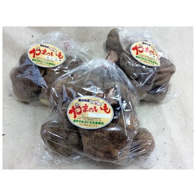 徳地やまのいも800g袋(ご家庭用)×2袋 D537