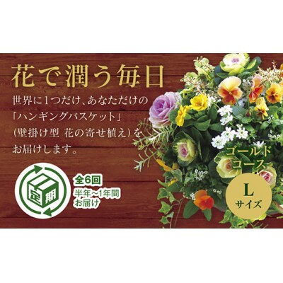 「花うるるのハンギング寄せ植え定期便～ゴールドコース」【全6回】(半年～1年間お届け) A-027