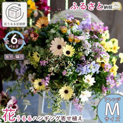 花うるるのハンギング定期便～アレンジコース【全6回】(半年～1年間お届け) A031