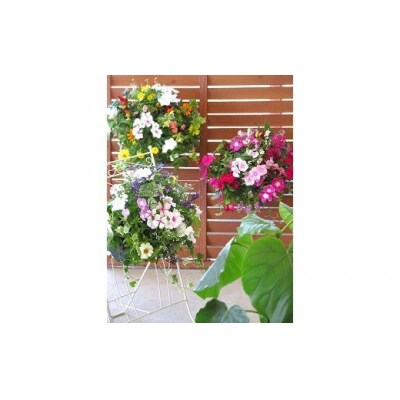 花うるる特製アレンジ おまかせハンギングバスケット Mサイズ D 108 お礼品詳細 ふるさと納税なら さとふる