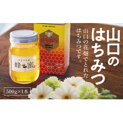 山口のはちみつ　500g D155