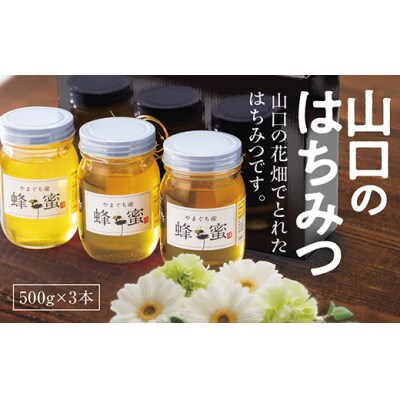 山口のはちみつ　500g×3本 C033