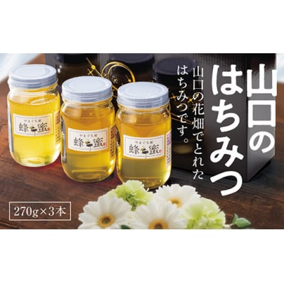 山口のはちみつ　270g×3本 D028