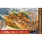 旭水産活き車海老1700g(850g(18～25尾)×2)【養殖】 B-006
