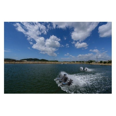 旭水産活き車海老1700g(850g(15～25尾)×2)【養殖】 B056