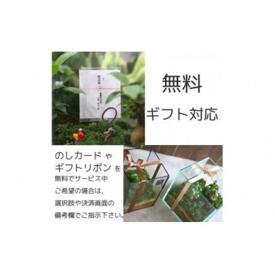 モダンインテリアやギフトに 花うるるのテラリウム ジオラマ人形おまけ付 D 253 お礼品詳細 ふるさと納税なら さとふる