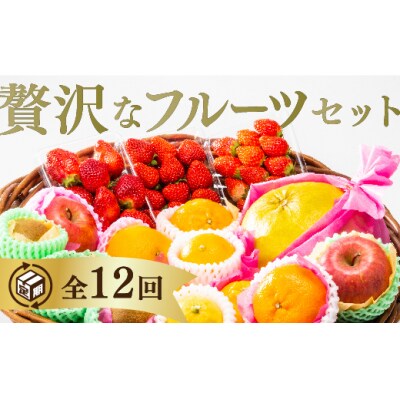 ご褒美*フルーツ定期便(12回) A-070