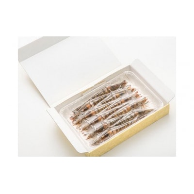 活き締め冷凍あいおえび400g(10～16尾) D168 
