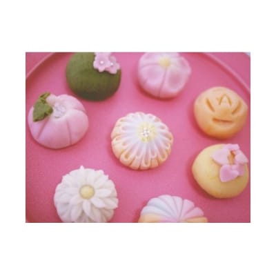 ナチュラル和菓子体験　D203
