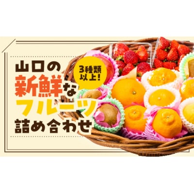 ぶちうま!山口の新鮮フルーツBOX D239