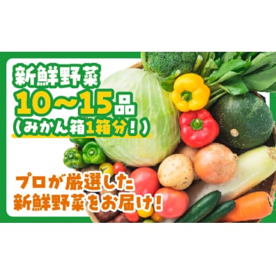 ぶちうま!山口の新鮮お野菜BOX D196