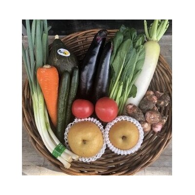 朝採り野菜とフルーツの定期便(12回) A-073 | ふるさと納税のお礼品