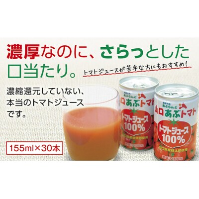 山口あぶとまと D161 