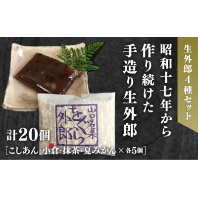 4種類の生外郎20個セット D687