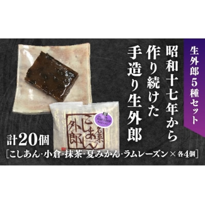 ラムレーズン外郎を含む5種類の生外郎20個セット D686