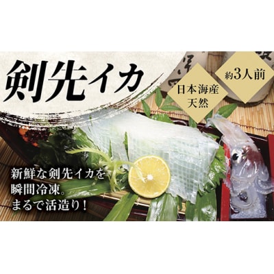 瞬冷まるで活造り!冷凍日本海産剣先いか(約3人前) D262 