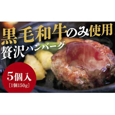 黒毛和牛100%ハンバーグ5個入り D226