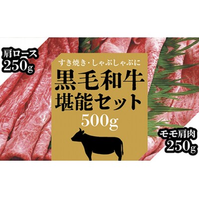 黒毛和牛薄切り詰合500g C050