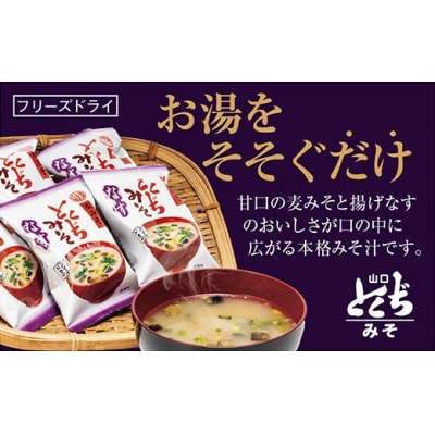 とくぢ味噌フリーズドライみそ汁(なす)30ヶ入 D499