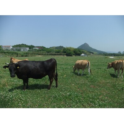 山口放牧牛「おまかせ希少部位」 D029