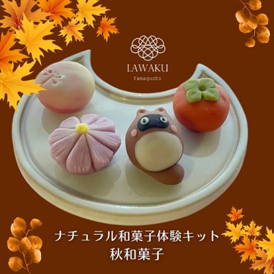 ナチュラル和菓子体験キット　ギフトセット　D243