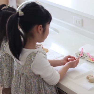 ナチュラル和菓子体験キット ギフトセット D243