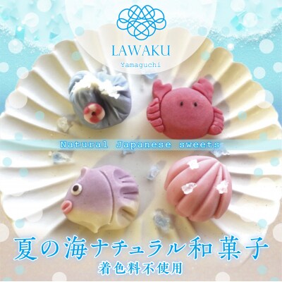 ナチュラル和菓子体験キット(こしあん) D244