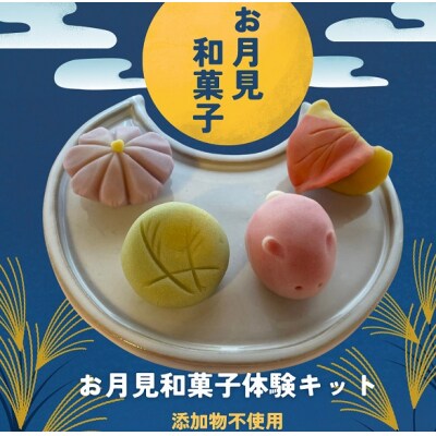 ナチュラル和菓子体験キット(こしあん) D244