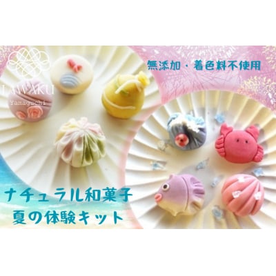 ナチュラル和菓子体験キット(こしあん&チョコあん) D075