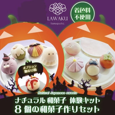ナチュラル和菓子体験キット(こしあん&チョコあん) D075