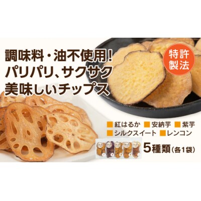 パリパリチップス(詰め合わせ) D518