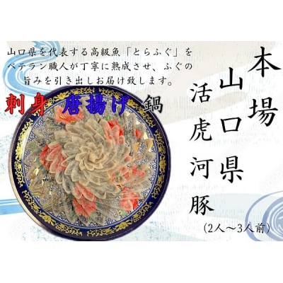 とらふぐ刺身2～3人前 C011