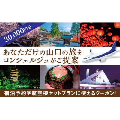 山口オーダーメイド旅行プラン(30000円分) A055