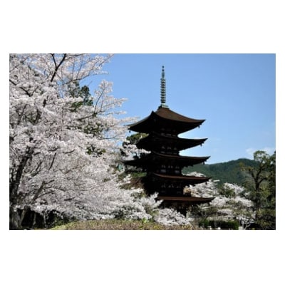 山口オーダーメイド旅行プラン(30000円分) A055