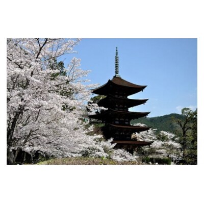 山口オーダーメイド旅行プラン(60000円分) A026