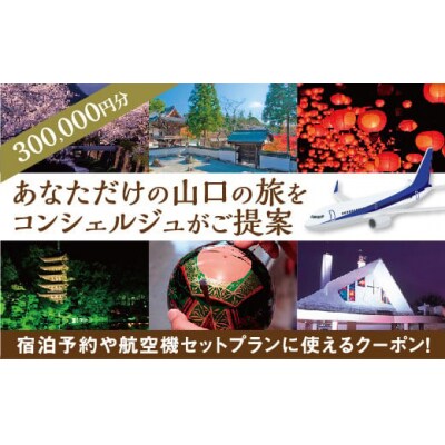 山口オーダーメイド旅行プラン(300000円分)A002