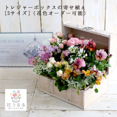 花うるるのおまかせ寄せ植え「トレジャーBOX」Sサイズ～季節の花をアレンジ D015