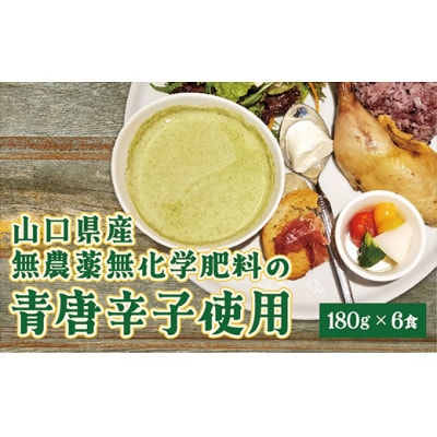 クリーミーグリーンカレー6食セット D129