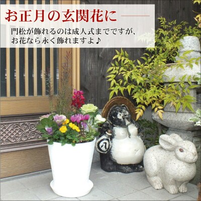 季節の花の寄せ植え　8号鉢　選べる鉢色　室内園芸装飾マイスター岡部太郎氏監修 C032