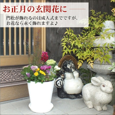 季節の花の寄せ植え　10号鉢　選べる鉢色　室内園芸装飾マイスター岡部太郎氏監修 C012