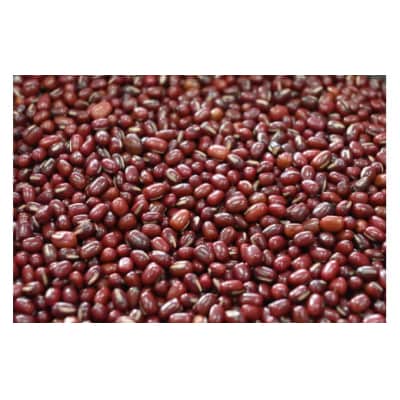 楊貴妃の里(パイ饅頭) E112