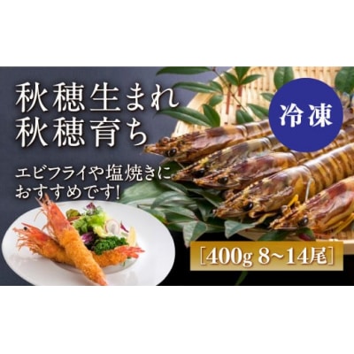 秋穂産活き〆冷凍車海老(あいおえび)400g(8～14尾)【養殖】D238